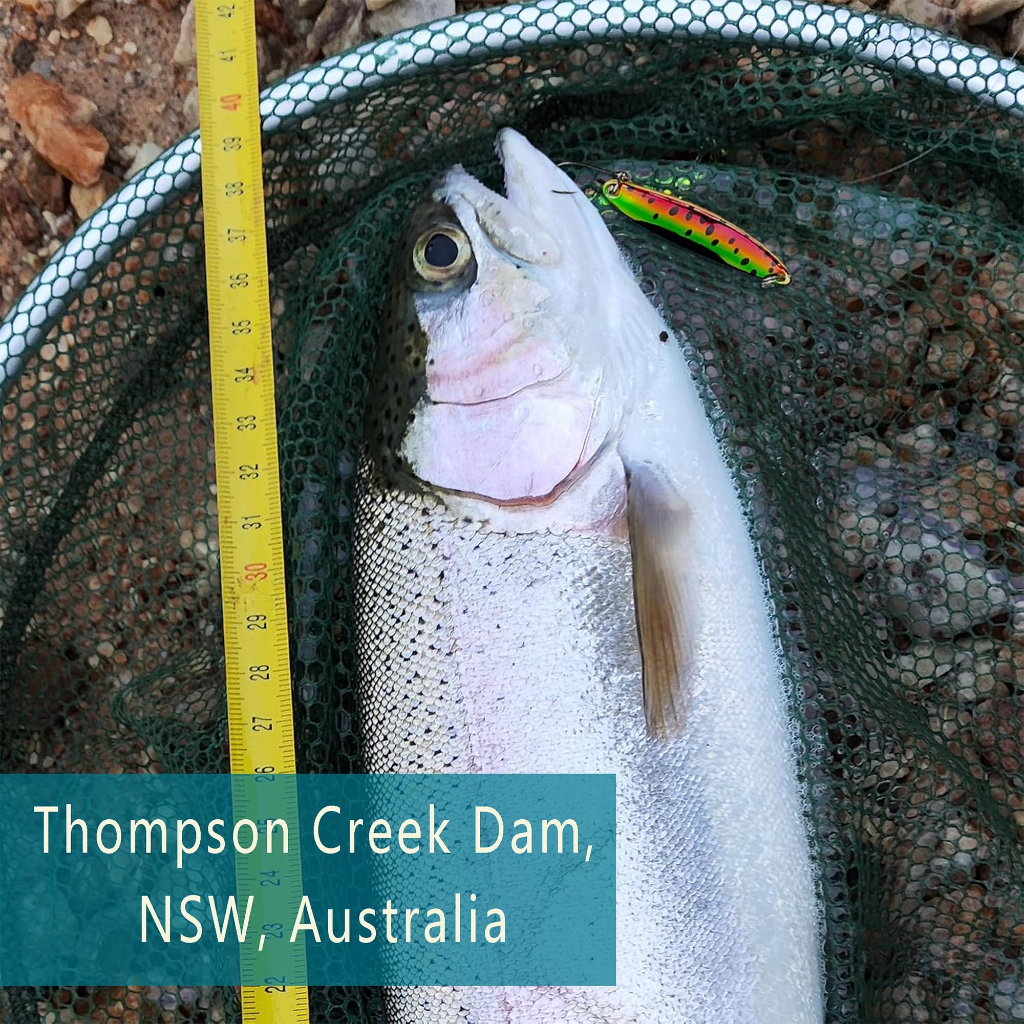 Fishing Lures for Saltwater/Freshwater, Metal Trout Lures for Bass Walleye Pike, 5g Fishing Spoon with Single Hook