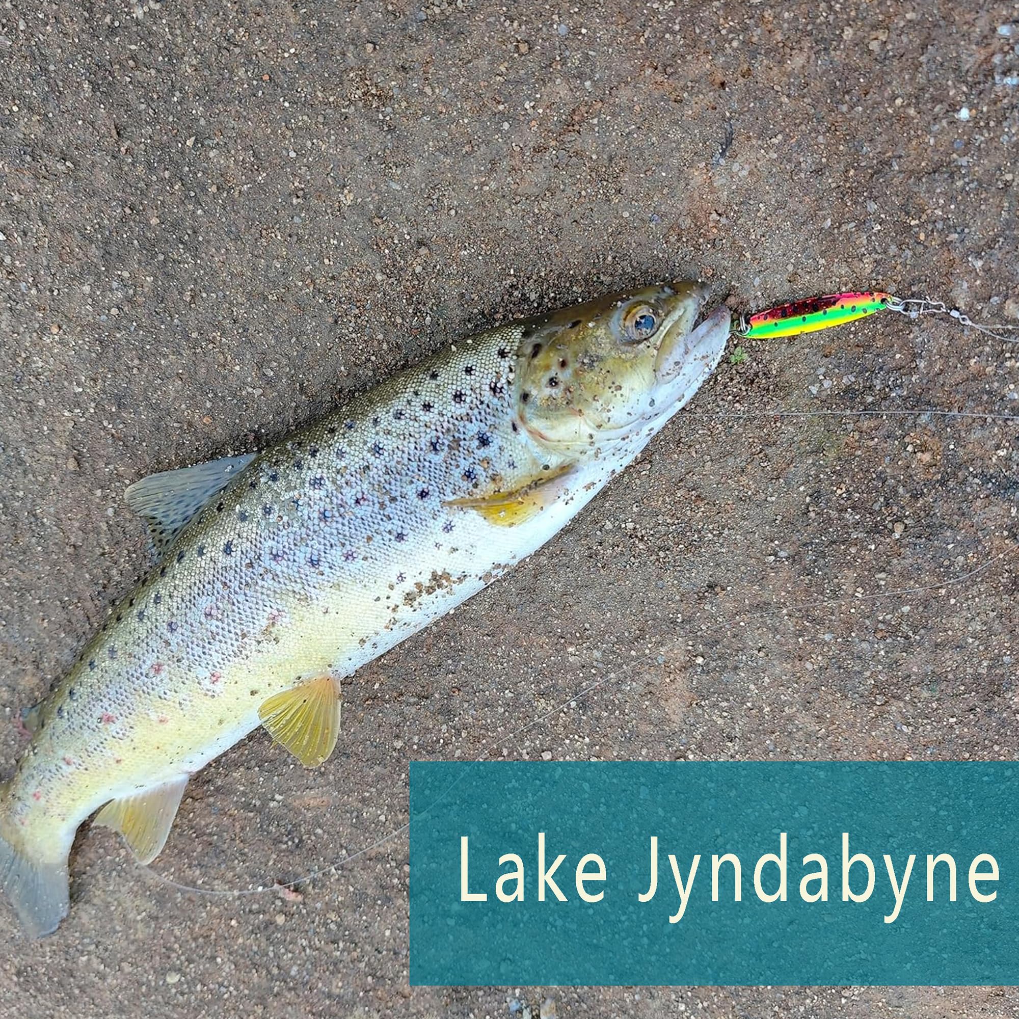 Fishing Lures for Saltwater/Freshwater, Metal Trout Lures for Bass Walleye Pike, 5g Fishing Spoon with Single Hook