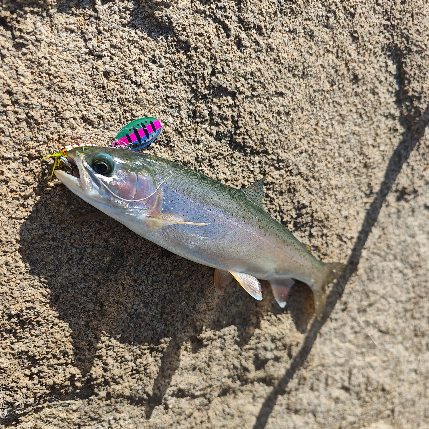 Fishing Lures for Saltwater/Freshwater, Metal Trout Lures for Bass Walleye Pike, 5g Fishing Spoon with Single Hook