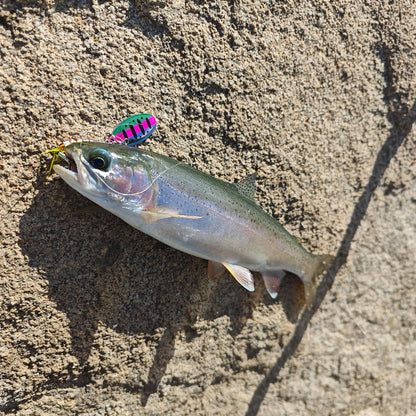 Fishing Lures for Saltwater/Freshwater, Metal Trout Lures for Bass Walleye Pike, 5g Fishing Spoon with Single Hook